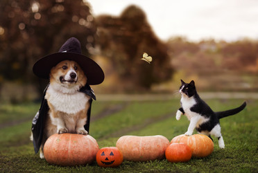 Similar image 21419312