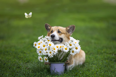 Similar image 21419314