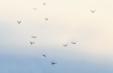 Similar image 21419315