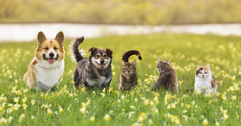 Similar image 21419317