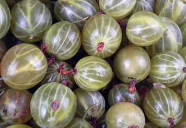 Similar image 21415116