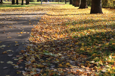 Similar image 21415117