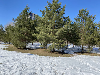 Similar image 21418164