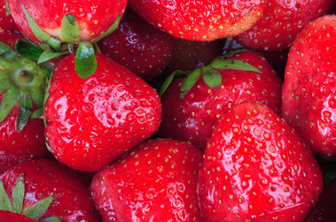 Similar image 21425005