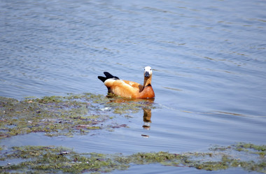 Similar image 21403121