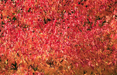 Similar image 21414918