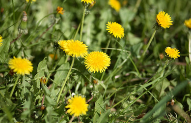 Similar image 21415167