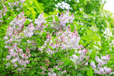 Similar image 21403213