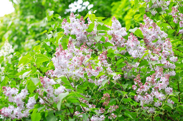 Similar image 21403223