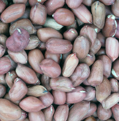 Similar image 21403237