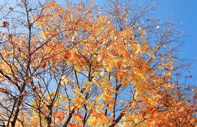 Similar image 21403241