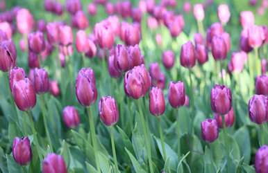 Similar image 21403243