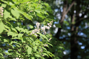 Similar image 21403248