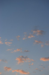 Similar image 21403253