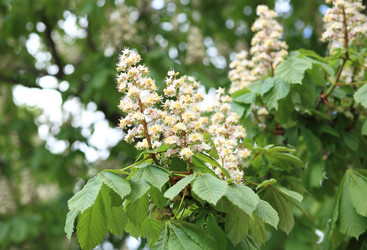 Similar image 21414726