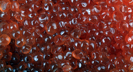 Similar image 21414729