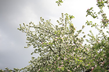 Similar image 21414938