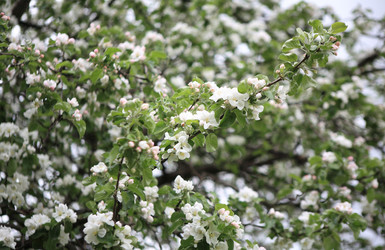 Similar image 21414941