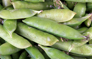 Similar image 21418173