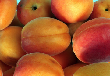 Similar image 21420611