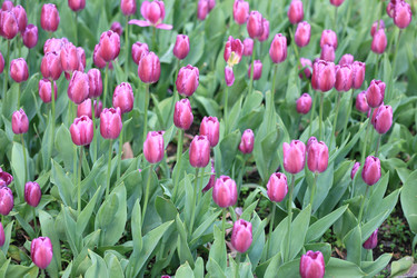 Similar image 21420812