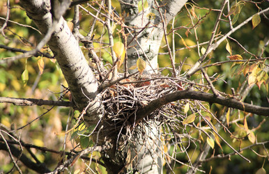 Similar image 21403265