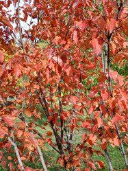 Similar image 21403269