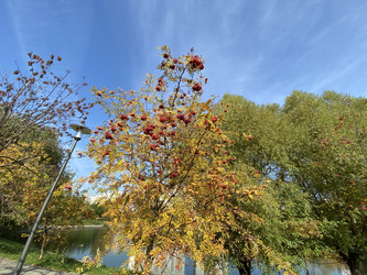 Similar image 21414946