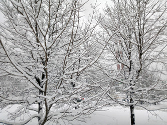 Similar image 21414951