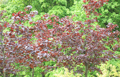 Similar image 21415209