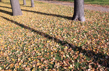 Similar image 21414747