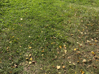 Similar image 21414748