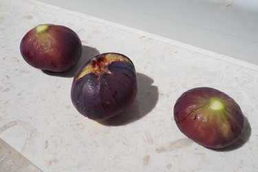 Similar image 21390561