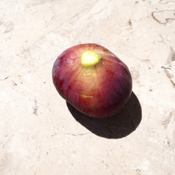 Similar image 21390563