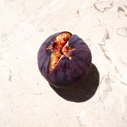 Similar image 21390565