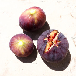 Similar image 21390568