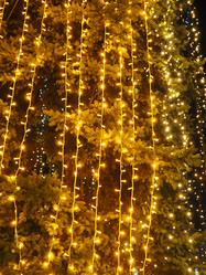 Similar image 21416343