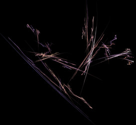 Similar image 21415249