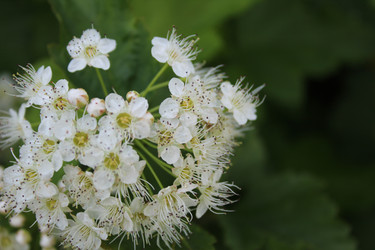 Similar image 21412295