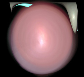 Similar image 21414762