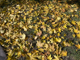 Similar image 21403411