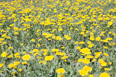 Similar image 21403412