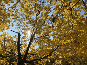 Similar image 21403414