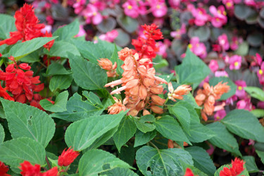 Similar image 21403447