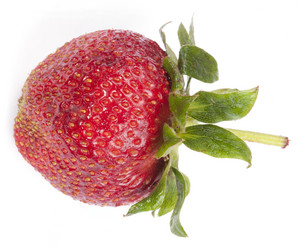 Similar image 21403459