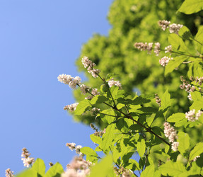 Similar image 21405234