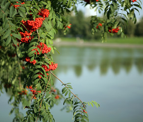 Similar image 21405236