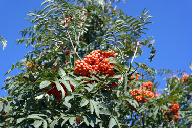 Similar image 21405256