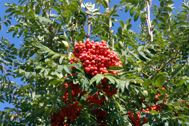 Similar image 21414799