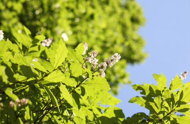 Similar image 21425015